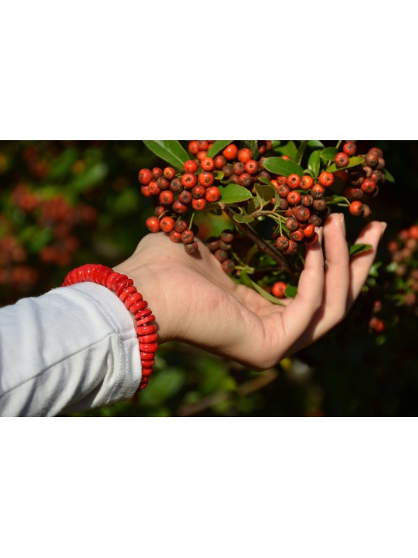 coral bracelet sterling silver