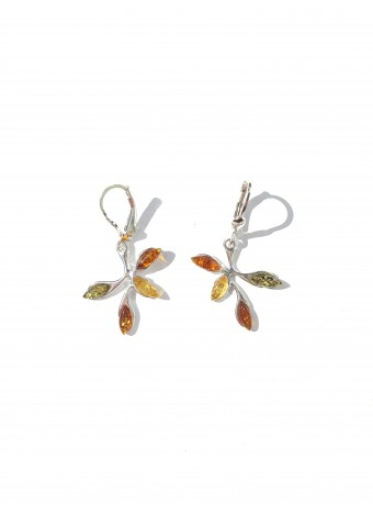 Natur amber earrings sterling silver