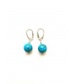 Blue earrings with howlith